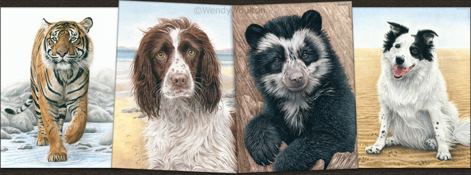 Fabi, Dotty, Madidi & Heidi
