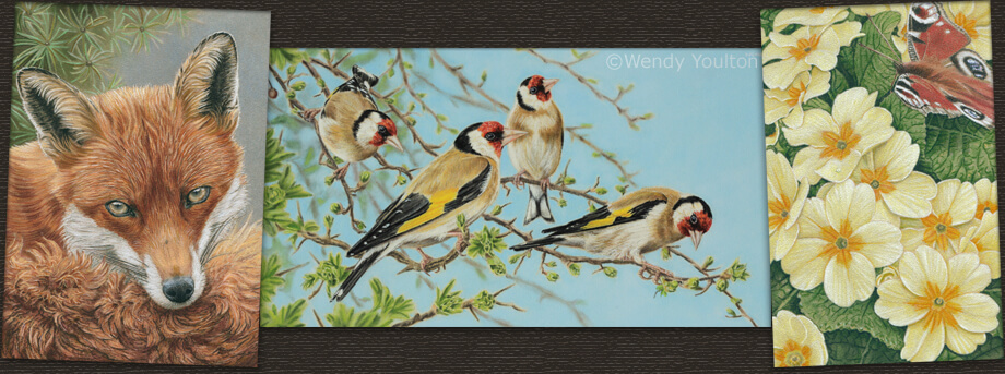 Red fox, Goldfinches & Peacock with primroses